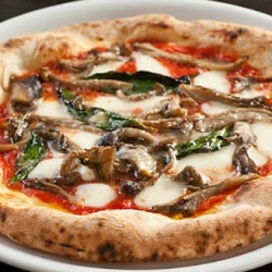 Pizzeria&Bar LOGIC Yamagata